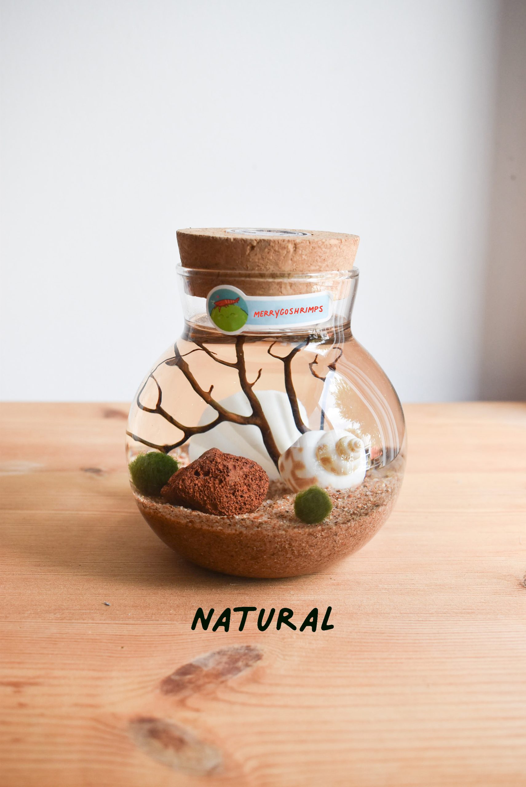 READY MADE SMALL Themed Aquarium