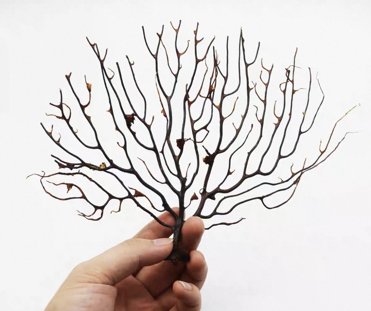 Natural Figurines - Image 6