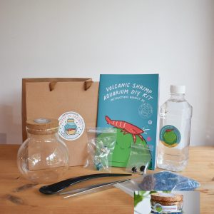 DIY KIT SMALL Themed Aquarium [Craft within 2 days]