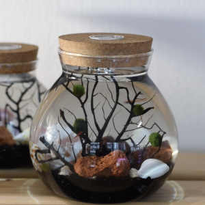 READY MADE MEDIUM Aquarium