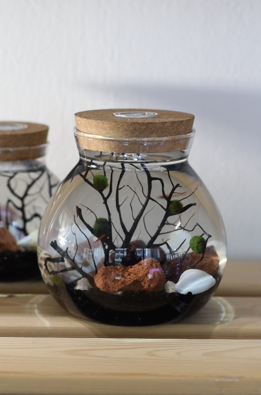 READY MADE MEDIUM Aquarium