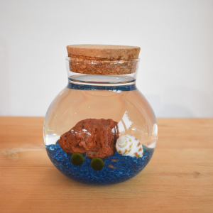 Customise your own READY MADE SMALL aquarium (Add your own figurines separately)