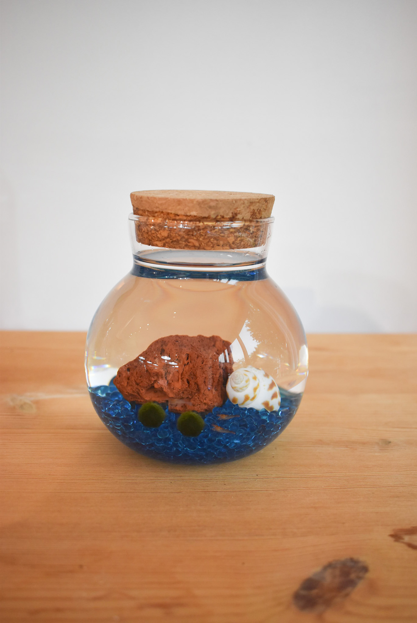 Customise your own READY MADE SMALL aquarium (Add your own figurines separately)