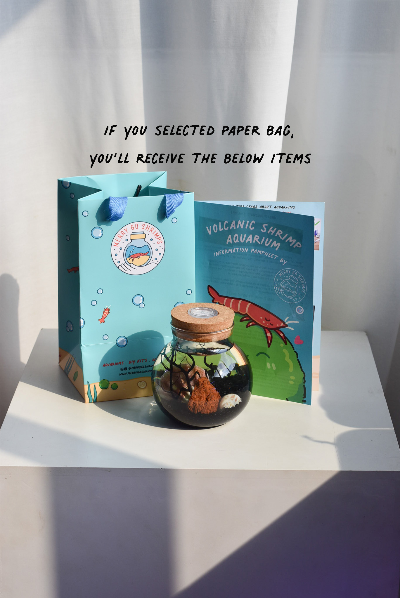 Customise your own READY MADE SMALL aquarium (Add your own figurines separately) - Image 7