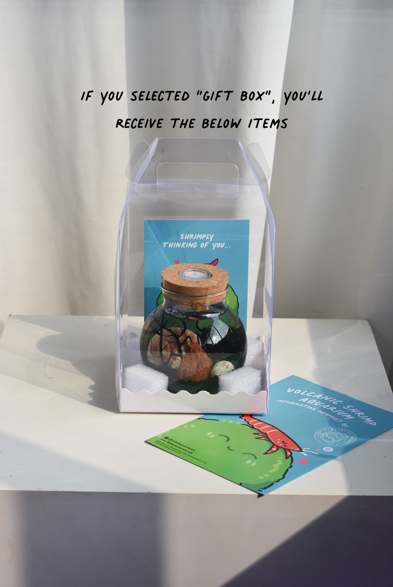 Customise your own READY MADE SMALL aquarium (Add your own figurines separately) - Image 8