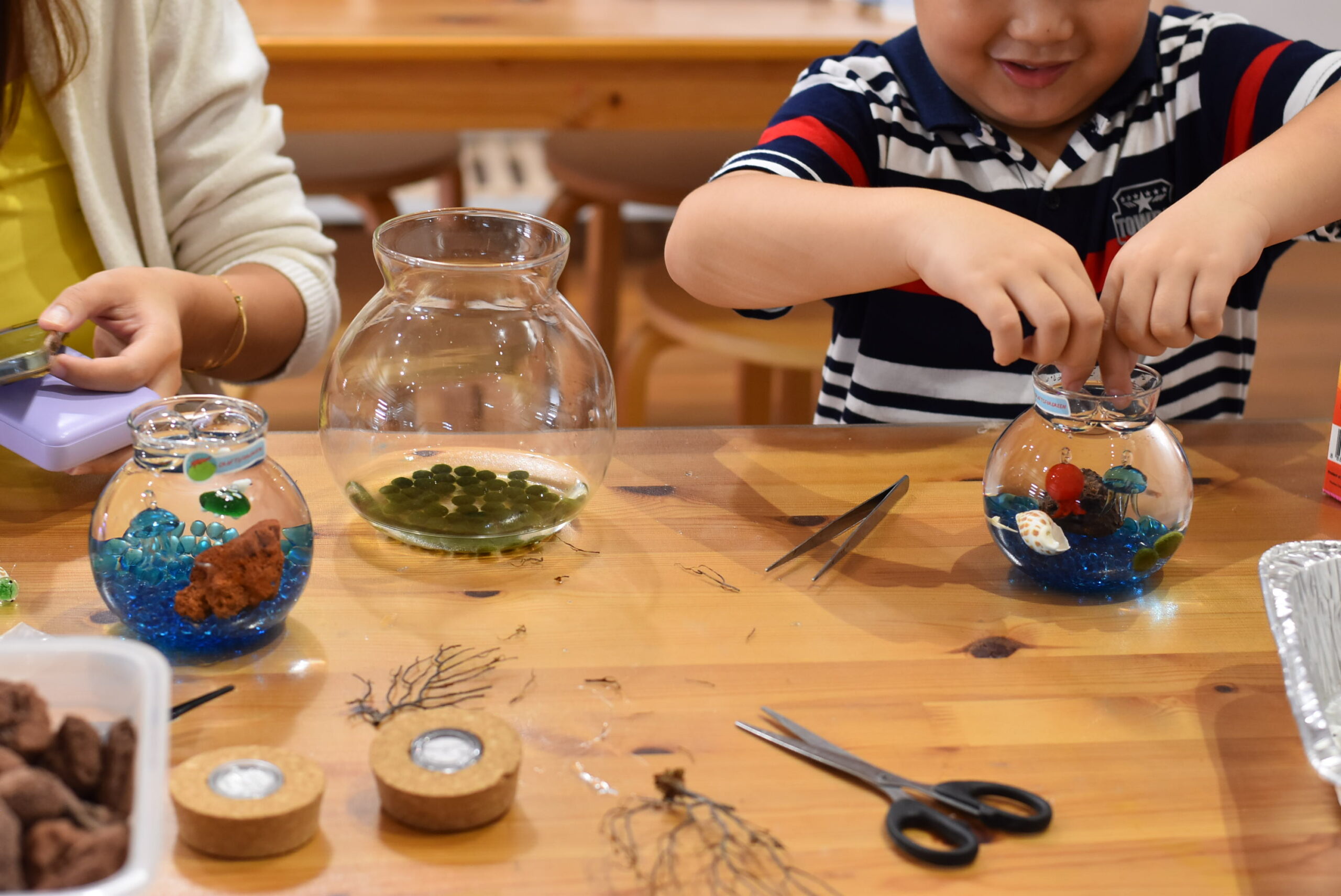 Volcanic shrimp aquarium workshop at 14 Beach Rd (Saturday afternoons) - Image 13
