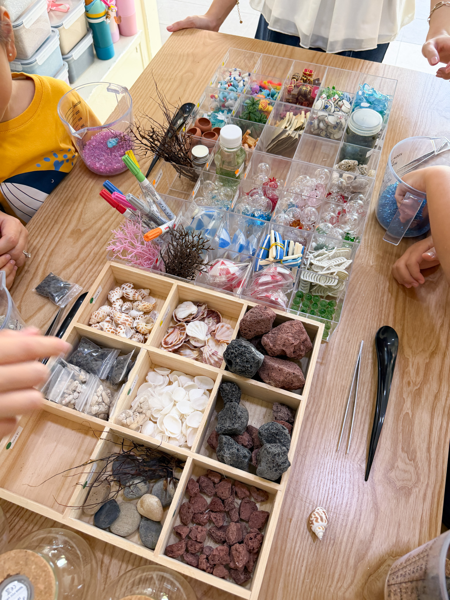 Volcanic shrimp aquarium workshop at 14 Beach Rd (Saturday afternoons) - Image 2