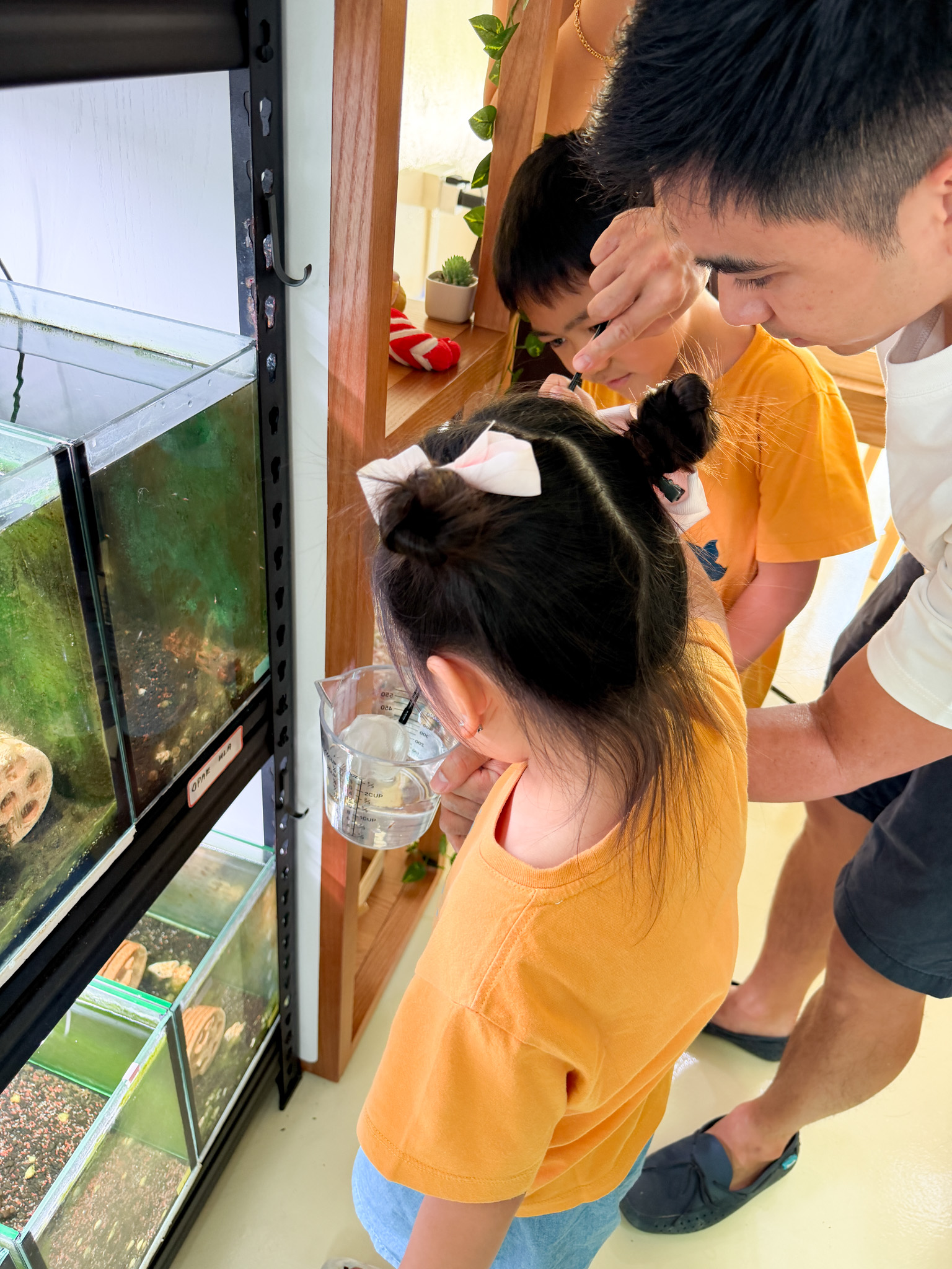 Volcanic shrimp aquarium workshop at 14 Beach Rd (Saturday afternoons) - Image 3